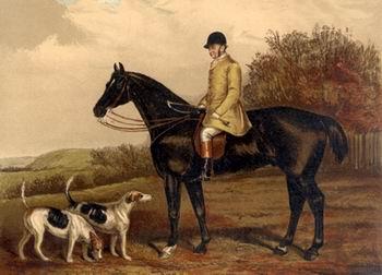 unknow artist Classical hunting fox, Equestrian and Beautiful Horses, 200. Germany oil painting art